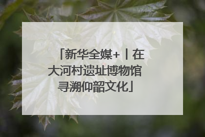 新华全媒+丨在大河村遗址博物馆寻溯仰韶文化